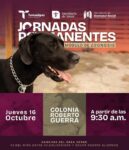 Beto Granados impulsa jornadas de bienestar para las mascotas
