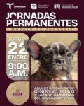 Gobierno de Beto Granados invita a Jornada de Vacunación Antirrábica en la colonia Revolución Verde