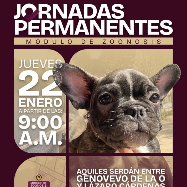 Gobierno de Beto Granados invita a Jornada de&hellip;