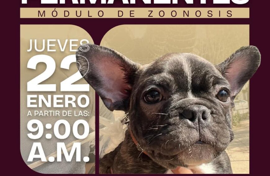 Gobierno de Beto Granados invita a Jornada de&hellip;