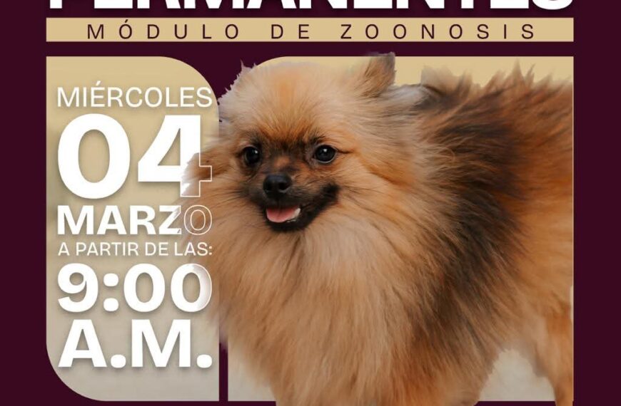 Cuidar la salud de nuestros perros y gatos…