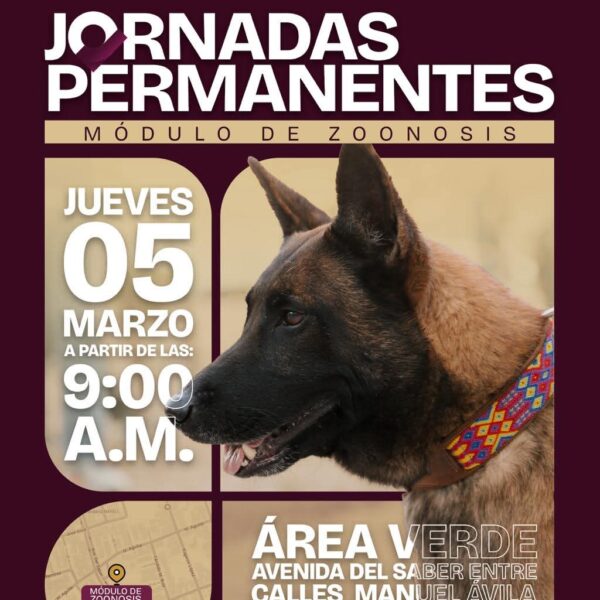 Este jueves, el bienestar animal llega a Infonavit&hellip;