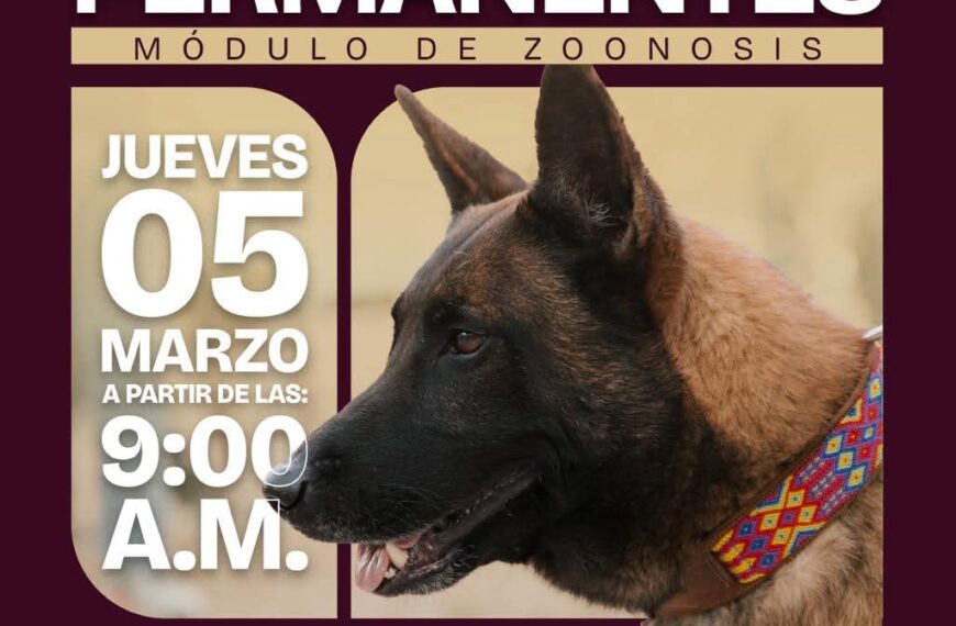 Este jueves, el bienestar animal llega a Infonavit&hellip;