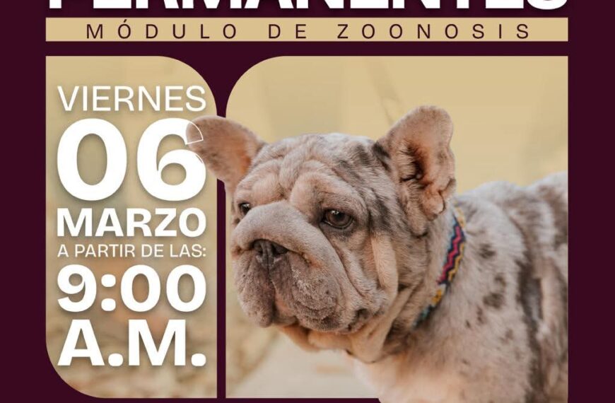 La prevención es la mejor forma de proteger&hellip;