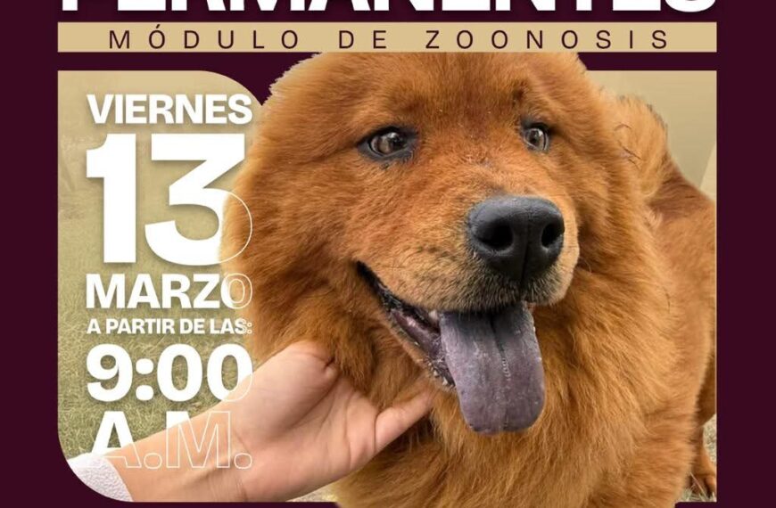 La salud de nuestras mascotas también es parte&hellip;